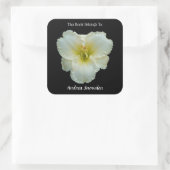 Sticker Carré 'Big Snowbird' Blanc jour sur plaque d'immatricula (Sac)