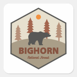 Sticker Carré Bighorn Forêt nationale Wyoming Ours
