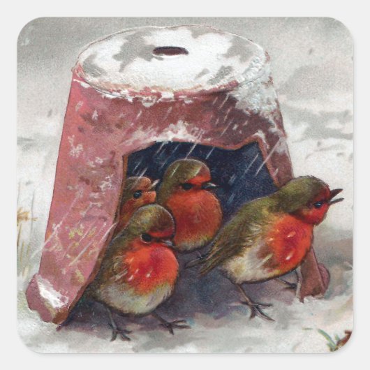 Sticker Carré Birdhouse Flowerpot pour Robins européens (Devant)