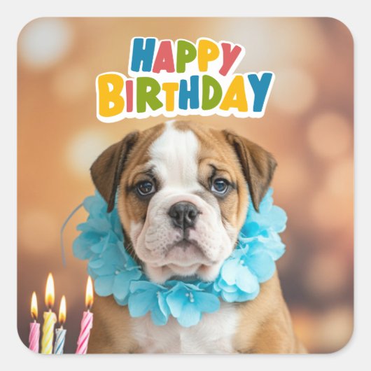 Sticker Carré Birthday Bulldog (Devant)