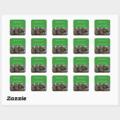 Sticker Carré Biscuits de Noël (Feuille)