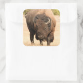 Sticker Carré Bison (Sac)