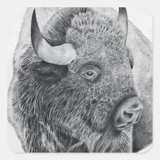 Sticker Carré Bison d'Amérique (Devant)