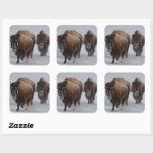 Sticker Carré Bison de Yellowstone (Feuille)