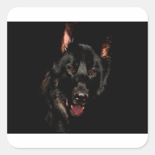 Sticker Carré Black German Shepherd