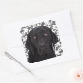 Sticker Carré Black Labrador Retriever (Enveloppe)