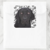 Sticker Carré Black Labrador Retriever (Sac)