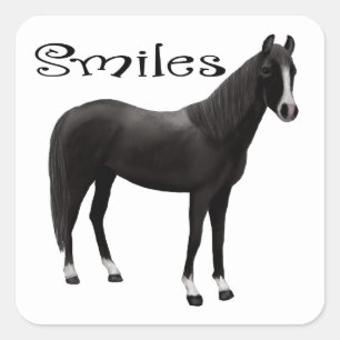 Sticker Carré Black Pony Pensée à vous Sourires Bonjour Cheval