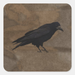 Sticker Carré Black Rook British Corvid et Rustic Arrière - plan