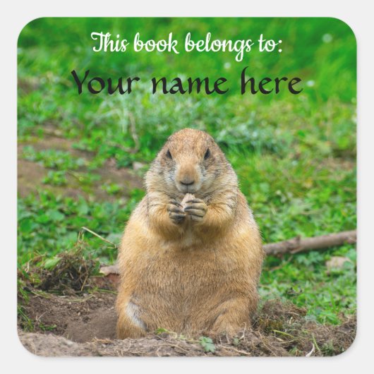 Sticker Carré Black-tailed Prairie Dog (Devant)