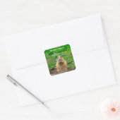 Sticker Carré Black-tailed Prairie Dog (Enveloppe)
