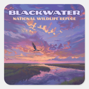 Sticker Carré Blackwater National Wildlife Refuge Park Maryland