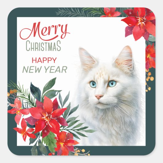 Sticker Carré Blanc Angora Chat Poinsettia Frontière Noël (Devant)