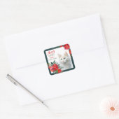 Sticker Carré Blanc Angora Chat Poinsettia Frontière Noël (Enveloppe)