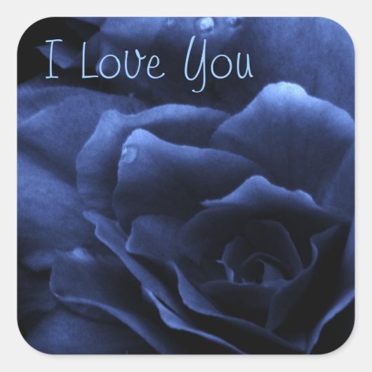 Sticker Carré Bleu royal Gros plan d'une double Begonia (Devant)