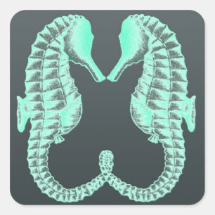 Sticker Carré Bleu Vintage Kissing Sea Horses