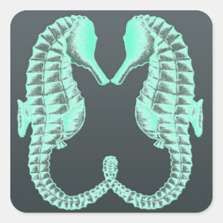Sticker Carré Bleu Vintage Kissing Sea Horses