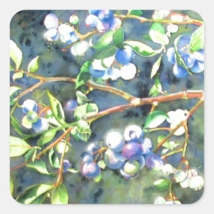 Sticker Carré Bleuets, fruit romantique Peinture d'aquarelle
