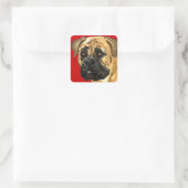 Sticker Carré Bloc couleur Bullmastiff (Sac)