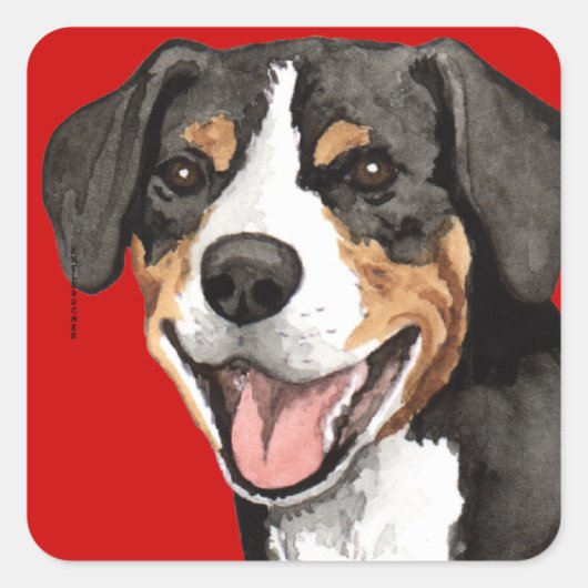 Sticker Carré Bloc couleur Entlebucher (Devant)