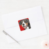 Sticker Carré Bloc couleur Entlebucher (Enveloppe)