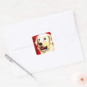 Sticker Carré Bloc couleur Kuvasz (Enveloppe)