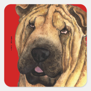 Sticker Carré Bloc de couleur de Shar-Pei