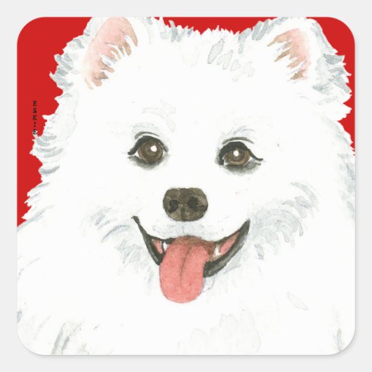 Sticker Carré Bloc de couleur Eskimo Chien américain (Devant)