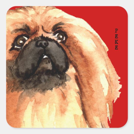 Sticker Carré Bloc de couleur Pekingese (Devant)