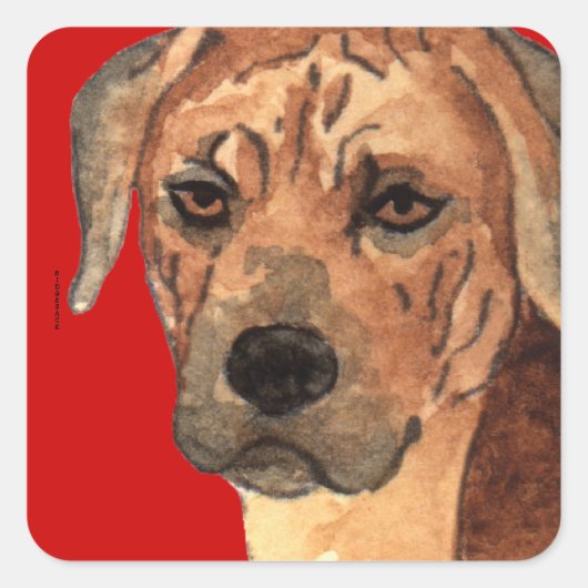 Sticker Carré Bloc de couleur Rhodesian Ridgeback (Devant)