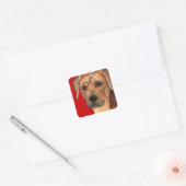 Sticker Carré Bloc de couleur Rhodesian Ridgeback (Enveloppe)