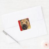Sticker Carré Bloc de couleur Shar-Pei (Enveloppe)