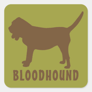 Sticker Carré Bloodhound