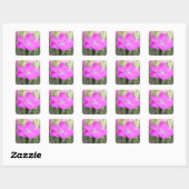 Sticker Carré Bloom Dianthus rose (Feuille)
