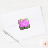 Sticker Carré Bloom Dianthus rose (Enveloppe)