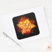 Sticker Carré Blooming Fire Rose (Enveloppe)