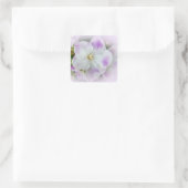 Sticker Carré Blossom du violet africain (Sac)