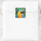 Sticker Carré Blue and Yellow Macaw Parrot (Sac)