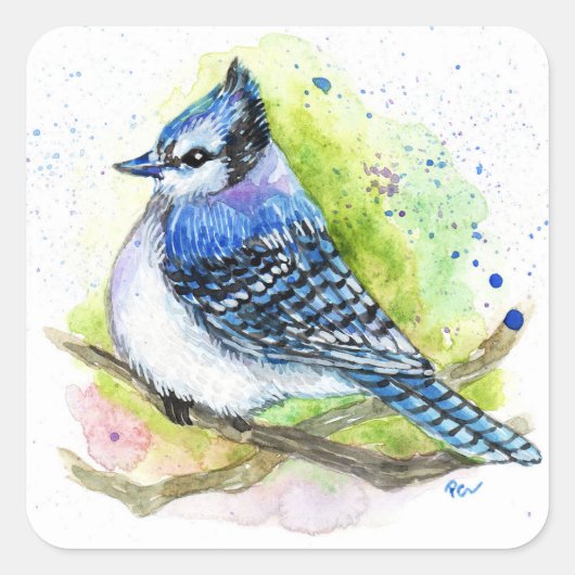 Sticker Carré Blue Jay (Devant)