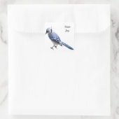 Sticker Carré Blue Jay (Sac)