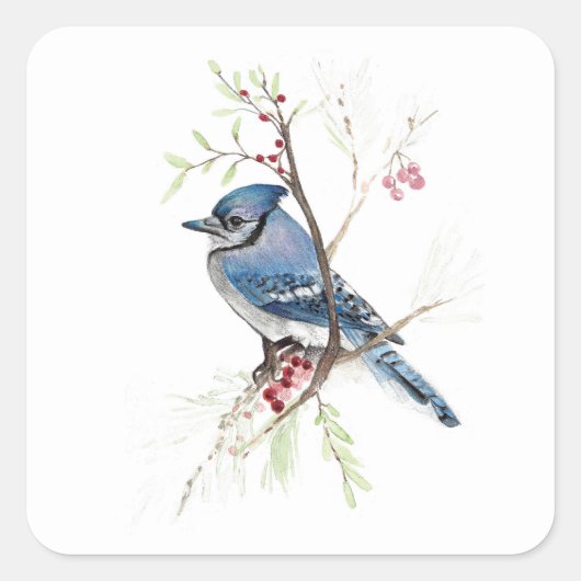 Sticker Carré Blue Jay Bird Berries (Devant)