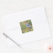 Sticker Carré Blue Jay sur Southern Wax Myrtle (Enveloppe)