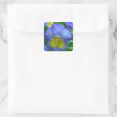 Sticker Carré Blue Pansy (Sac)