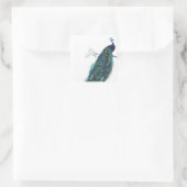 Sticker Carré Blue Peacock with beautiful tail feathers (Sac)