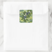 Sticker Carré Blueberry Branch Botanical Illustration (Sac)