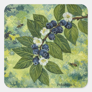 Sticker Carré Blueberry Branch Botanical Illustration