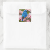 Sticker Carré Bluebird de printemps (Sac)