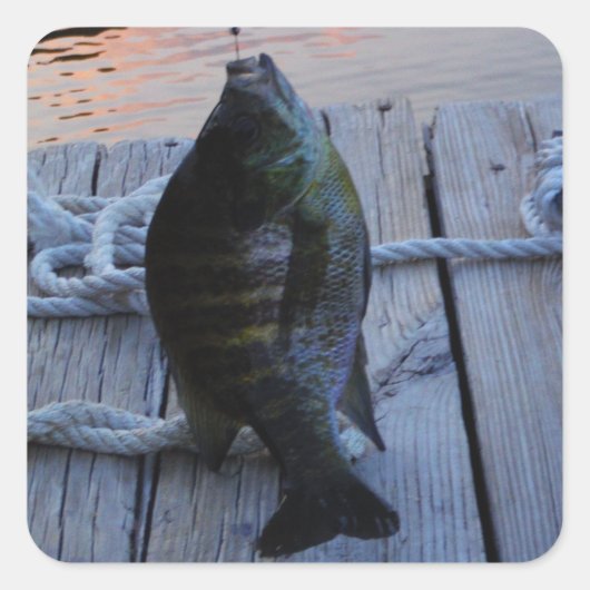 Sticker Carré Bluegill au coucher du soleil Lac Arrowhead (Devant)