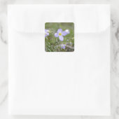 Sticker Carré Bluets - dames de quaker (Sac)