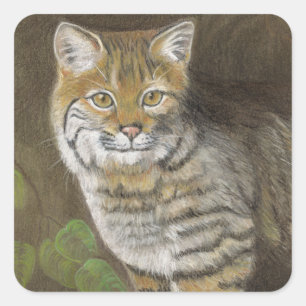 Sticker Carré Bobcat